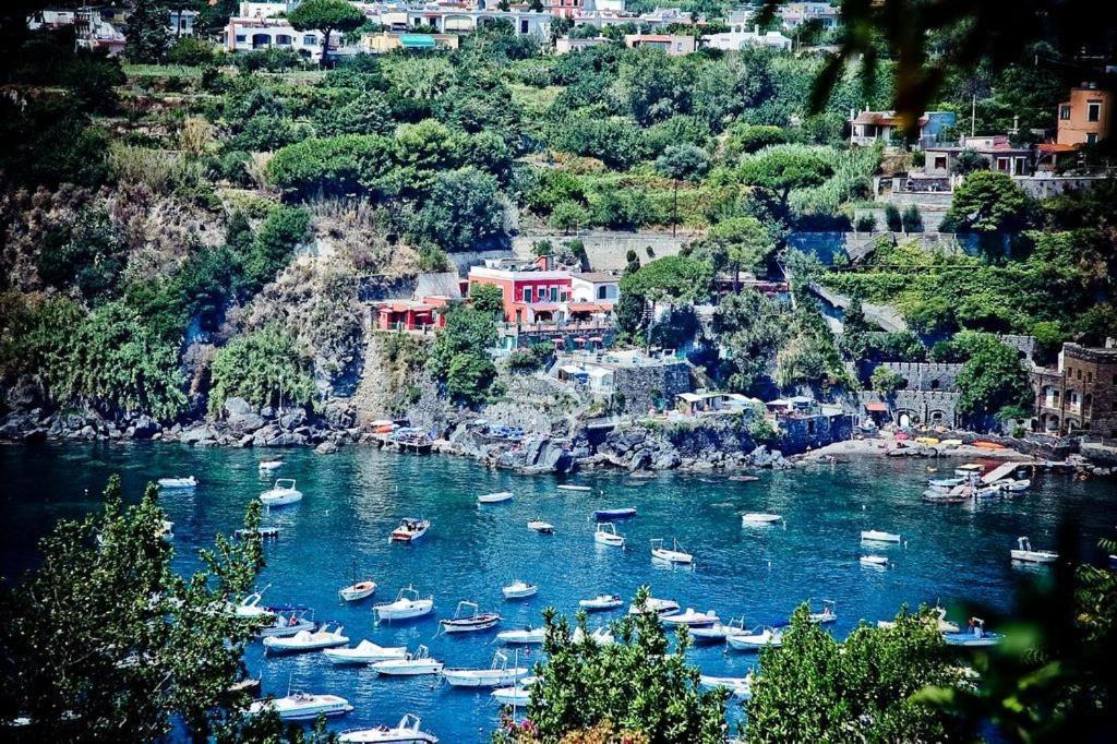 Hotel Villa Antonio Ischia Exterior foto
